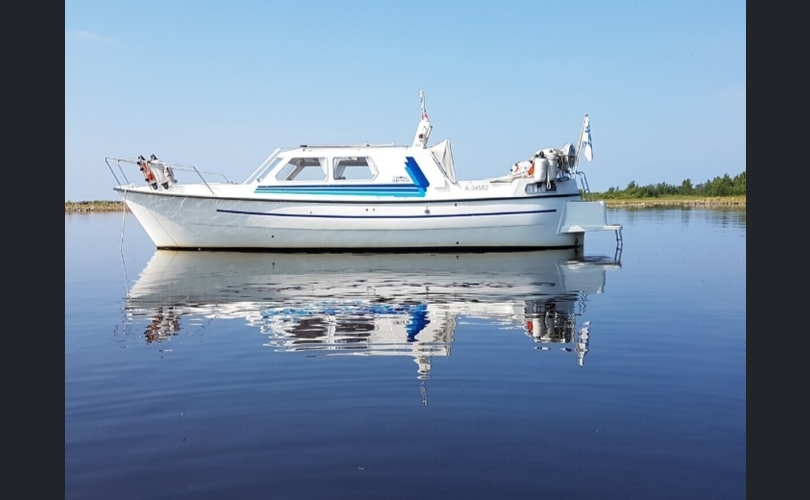 Albatross Flying 871-kuva-14